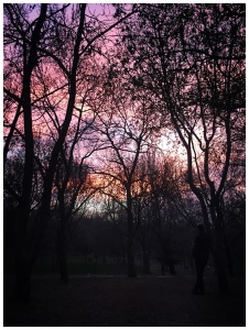 Filtresiz Ankara.Odtü.Nisan.2019.jpg